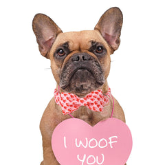 collar DOGWONG valentin de algodon suave para comodidad diaria