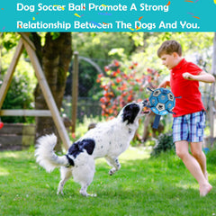 Domchan bola de entrenamiento con textura hexagonal mejora agarre y diversión.