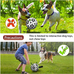 Domchan bola fútbol para perros apta para agua, ideal para piscina o playa.