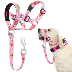 DOMIGLOW collar de cabeza sin tirones con enganche frontal para control en paseos.