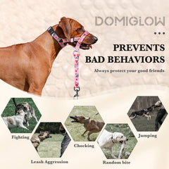DOMIGLOW uso versátil para caminatas, entrenamiento y salidas al aire libre.