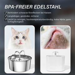 DOOOB fuente con dos modos de flujo para atraer a las mascotas a beber.