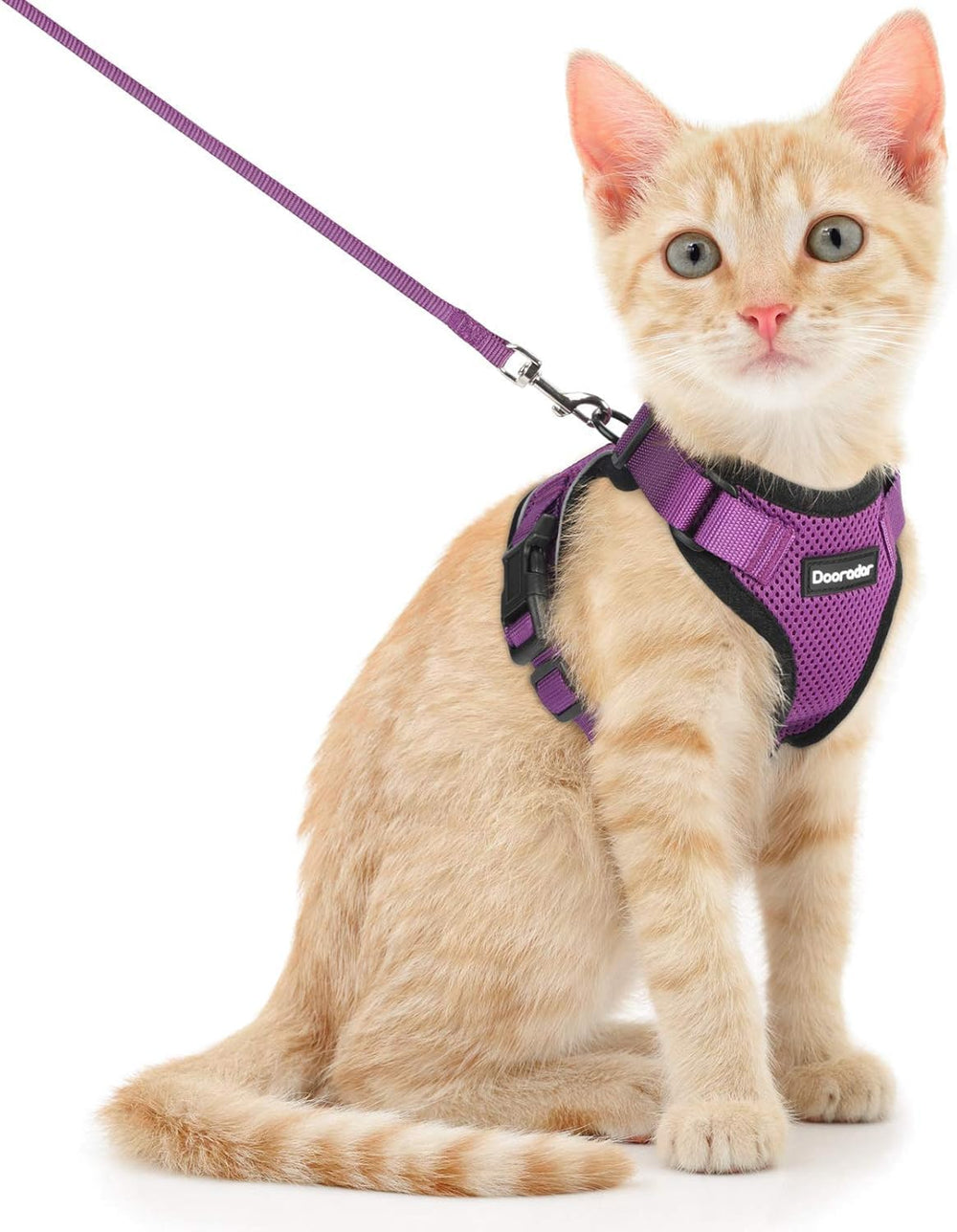 Arnés Dooradar para gato con ajuste cuello-pecho para un ajuste cómodo.