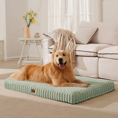 DOPEDIO cama-ortopedica-perro-grande ofrece soporte para articulaciones y comodidad diaria.