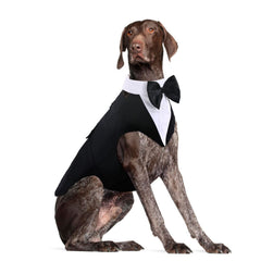Dora Bridal tuxedo para perro grande, estilo formal para bodas.