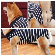 Dotoner chaleco postoperatorio: collar isabelino como sustituto para comer con comodidad