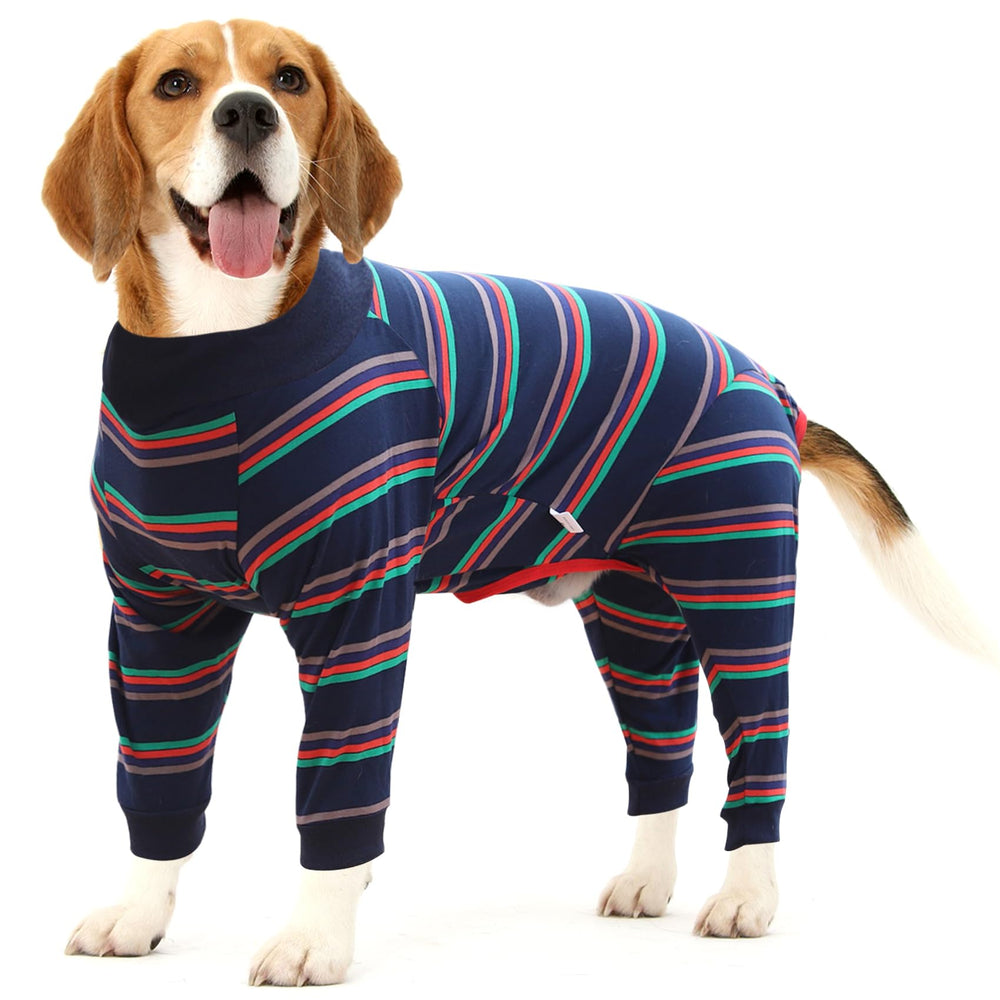 Dotoner traje recuperación perro abdomen, protege heridas y vendajes.