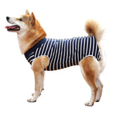 Dotoner traje recuperación para perros con rayas azules, 2XL.