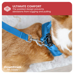 Downtown Pet Supply Dobles anillas en D para mayor control en el paseo.