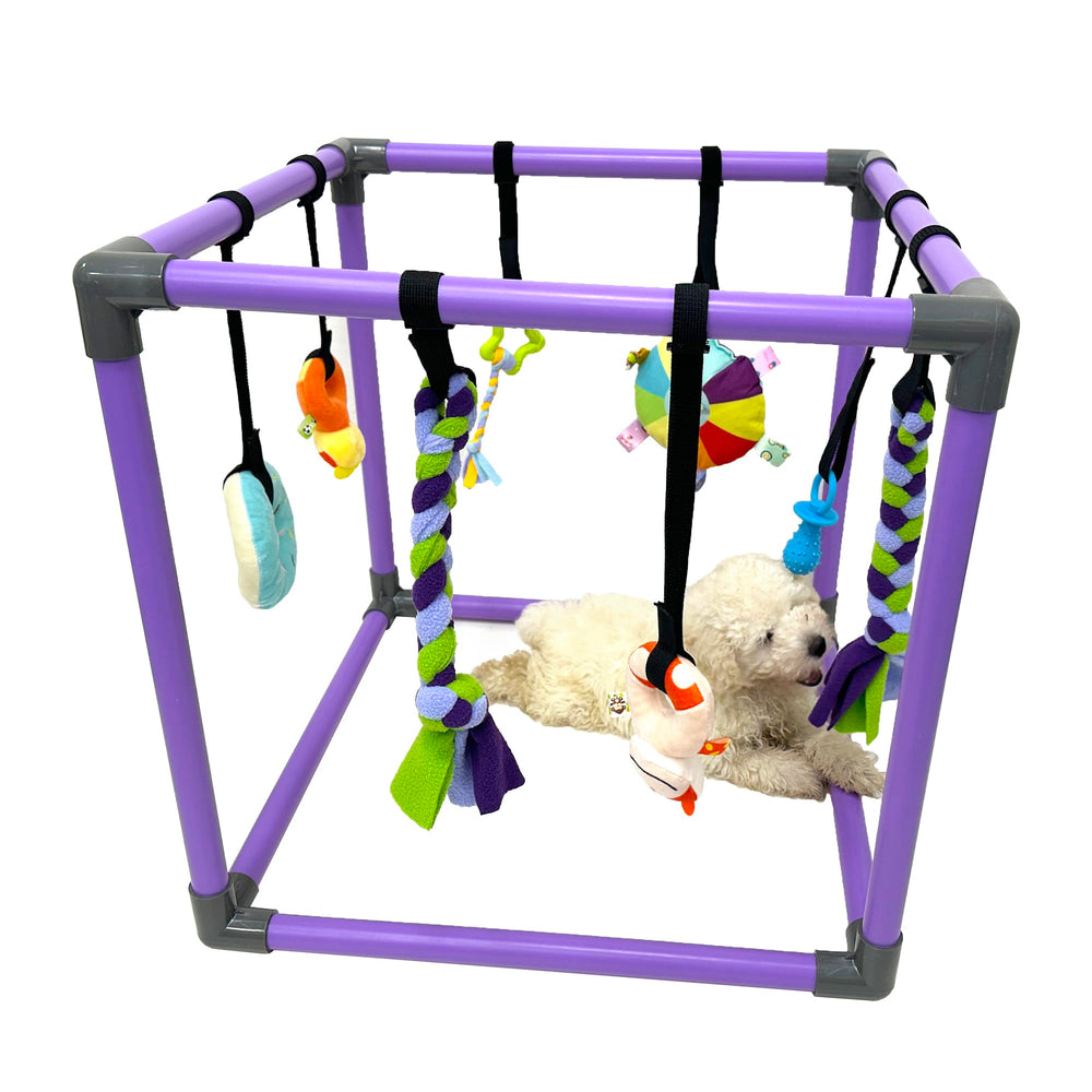DOZZOPET Gimnasio para cachorros: juguetes colgantes coloridos estimulan la curiosidad.