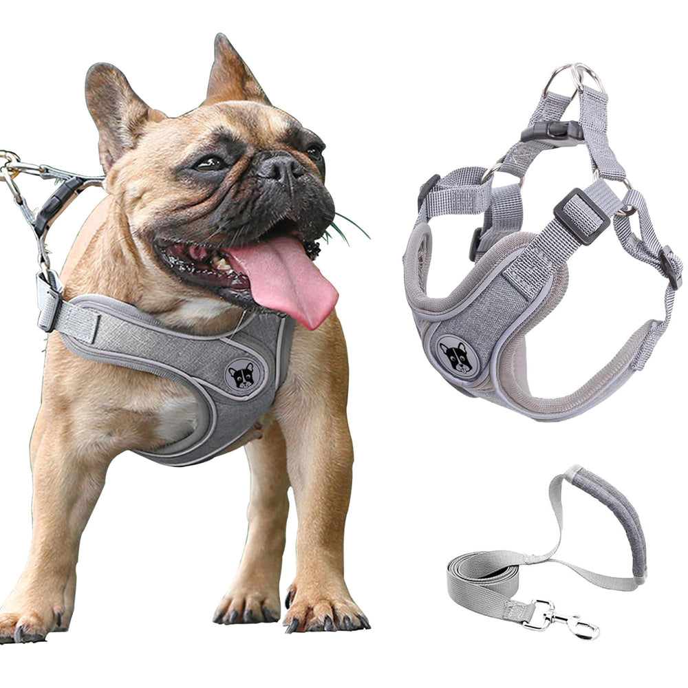 Arnés de chaleco D.QingPei para perro mediano en malla suave, cómodo para paseos diarios.