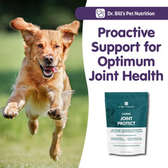 L-Glutamina en Dr. Bill's Protección Articular Canina para metabolismo muscular.