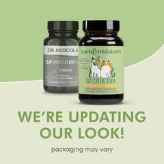 SpiruGreen para mascotas: apoyo a articulaciones tras el ejercicio.
