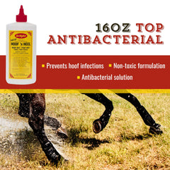 Aplicación en pezuñas con Hoof 'N Heal para higiene y cuidado