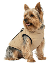 DroolingDog abrigo para perro en color caqui, ajuste cómodo para paseos fríos.