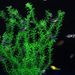 dskoiph plantas para acuario, fondo verde artificial de 21 pulgadas.