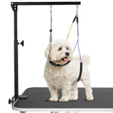 Duckygoo clamp antideslizante para mesa de grooming, fijación estable.