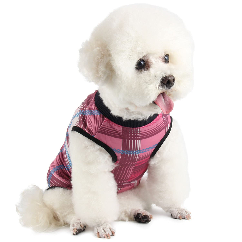 Due Felice pijama de recuperación para perro, vista frontal, confort suave para la recuperación.