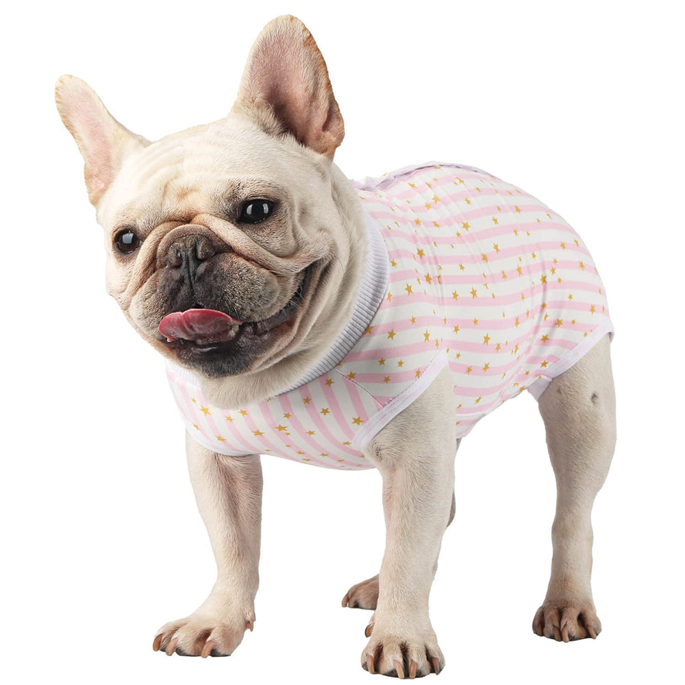 Due Felice traje de cirugía para perro, vista frontal, evita lamidos.