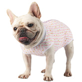 Due Felice traje de cirugía para perro, vista frontal, evita lamidos.