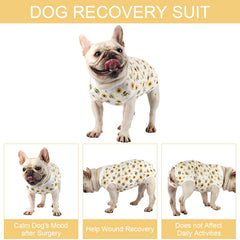 Due Felice traje recuperación para perros machos, diseño práctico y cómodo.