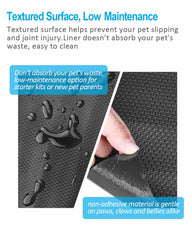 Duedusto lagarto usando sustrato sin adherencia protege patas