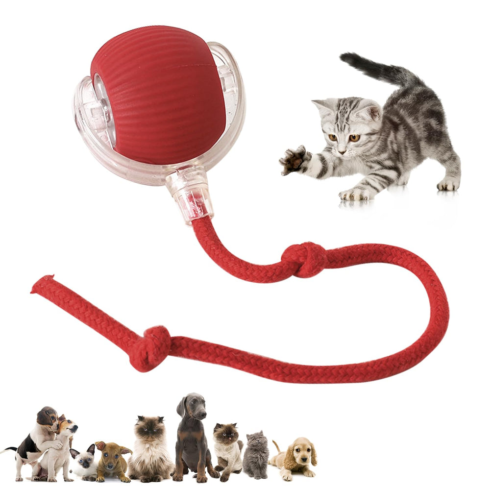 DVHNMK Chewie bola rodante 360 interactiva para juego activo de perros y gatos.