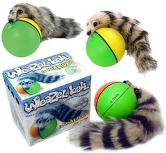 D.Y.TOY Bola de comadreja peluche en acción, entretenimiento interactivo para mascotas