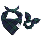Pañuelo para cuello E-Clover para perro, cuadros verde-azul, ideal para paseos.