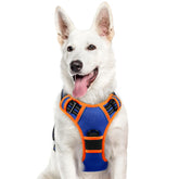 Arnés Eagloo para perro grande con dos anillos para control en paseos.