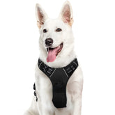 Arnés Eagloo para perros grandes con anilla frontal para entrenamiento sin tirar.