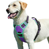 Arnés Eagloo para perros grandes, vista frontal, ajuste cómodo para paseos diarios.