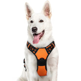 Arnés Eagloo para perros grandes, vista frontal, ajuste rápido para paseos.