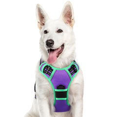 Arnés Eagloo para perros grandes con anillo frontal para control suave durante entrenamiento.