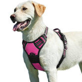 Eagloo arnés para perro grande: diseño sin tirón para paseos más tranquilos.
