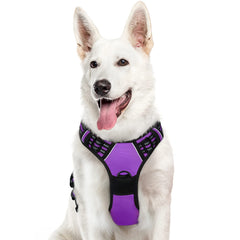 Arnés Eagloo para perro grande con anilla frontal para entrenamiento sin tirones.