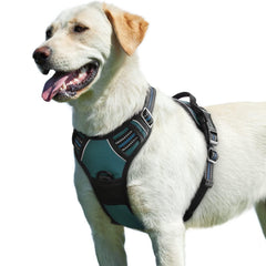 Arnés Eagloo para perros grandes, uso fácil y rápido para paseos.