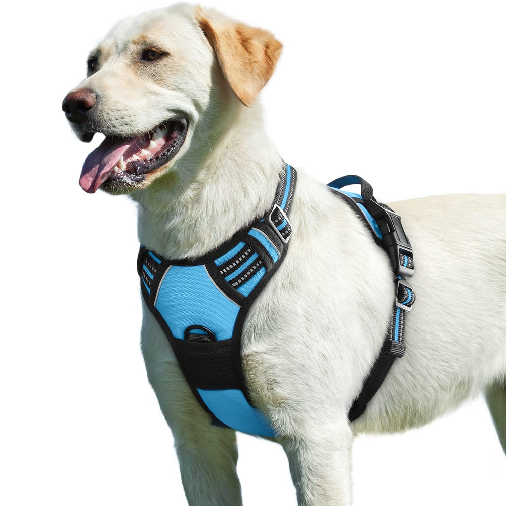 Arnés Eagloo para perros grandes: vista general con ajuste cómodo