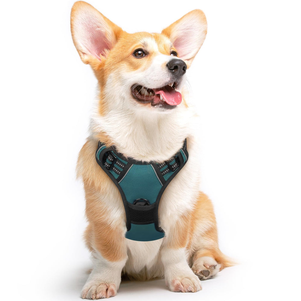 Arnés Eagloo para perro mediano sin tirones y reflectante para la noche.