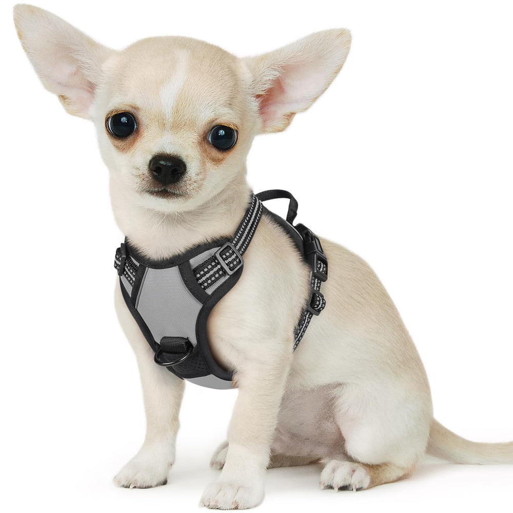 Arnés Eagloo para perro pequeño con frente y hebillas rápidas para colocar fácil