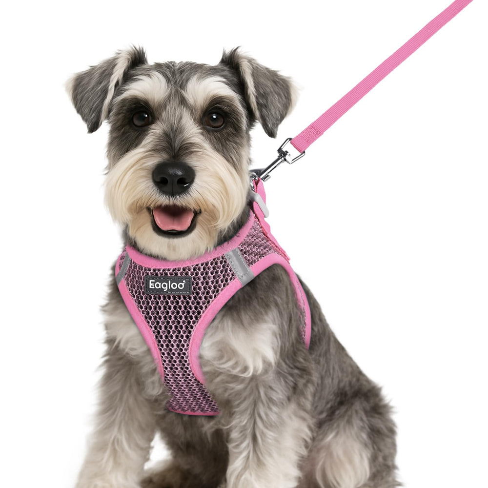 Arnés Eagloo para perro pequeño rosa, transpirable.