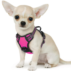 Arnés Eagloo para perro pequeño sin tirones, ideal para paseos tranquilos