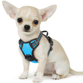 Arnés Eagloo para perro pequeño con anilla frontal para entrenamiento suave