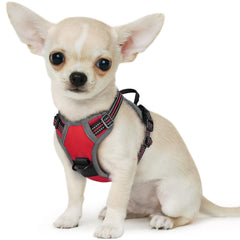 Arnés Eagloo para perro pequeño sin tirón frontal, ideal para entrenamiento.