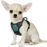 Arnés Eagloo para perros pequeños sin tirón, ajuste frontal cómodo.