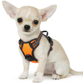Eagloo chaleco perro pequeño sin tirón para paseos seguros y cómodos.