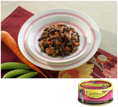 Earthborn Holistic gato salmón y verduras: cena suave con aroma marino.
