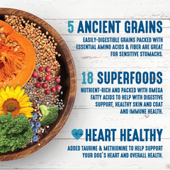 Earthborn Holistic grano antiguo chia, fibra y omega beneficios