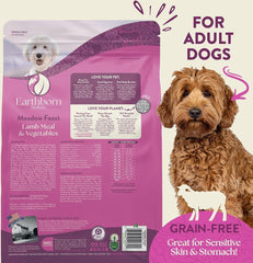 Earthborn Holistic Meadow Feast, croquetas secas en primer plano, sabor natural para perros activos