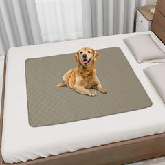 Easy-Going funda sofá lavable para mascotas, limpieza rápida tras juego y descanso.